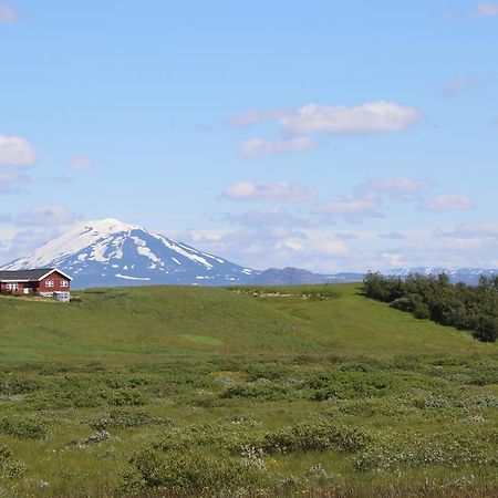 Guest House Svetlana 헬라 외부 사진
